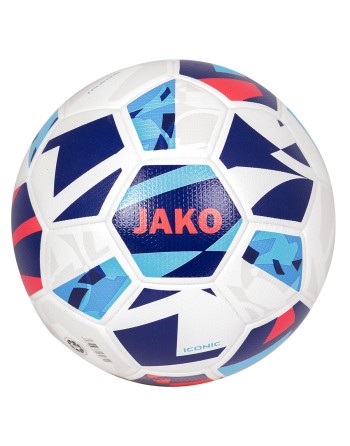 Trainingsball Iconic